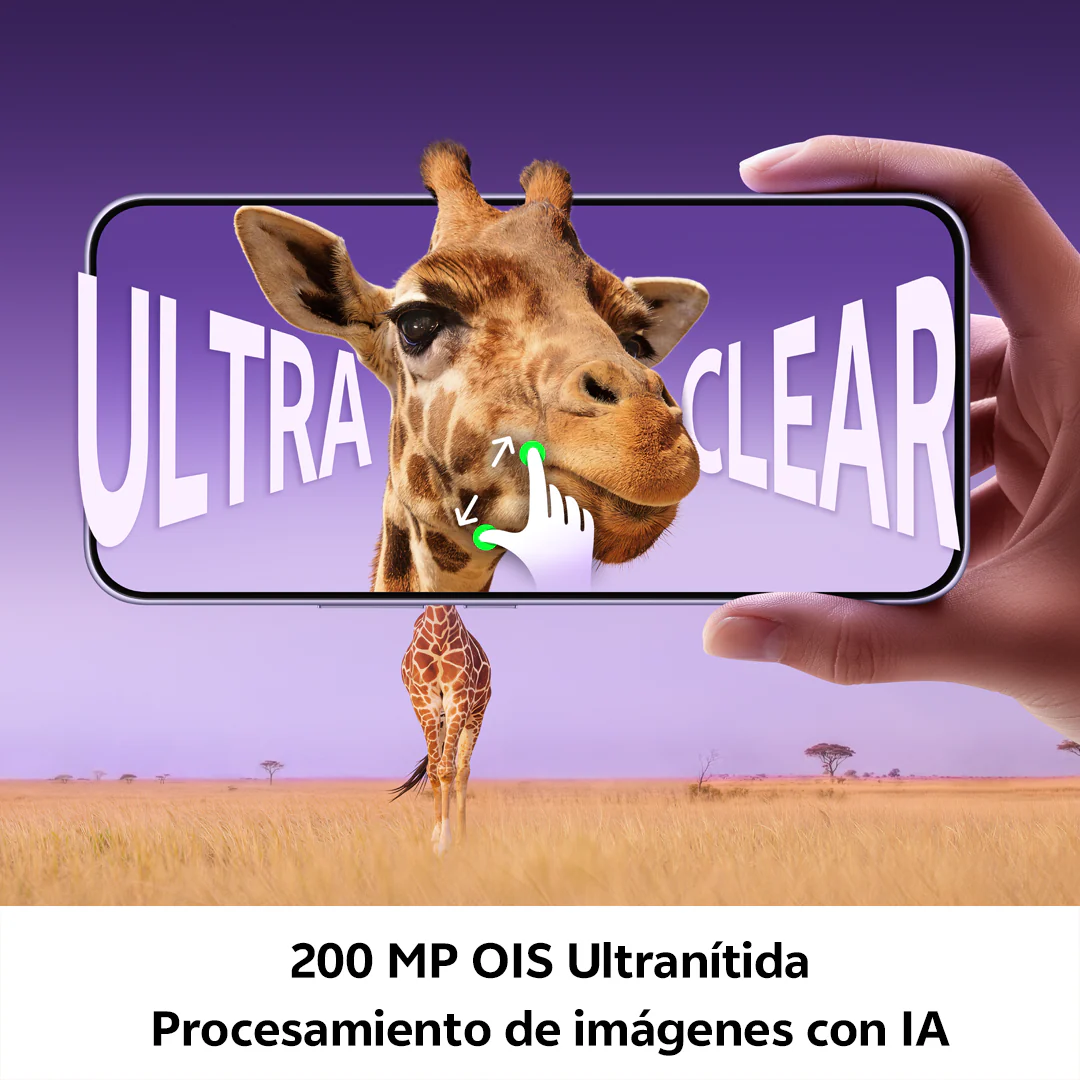 Miniatura 12